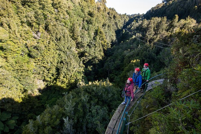 The Ultimate Canopy Zipline Experience Private Tour From Auckland - Why this is more than a standard zipline ride