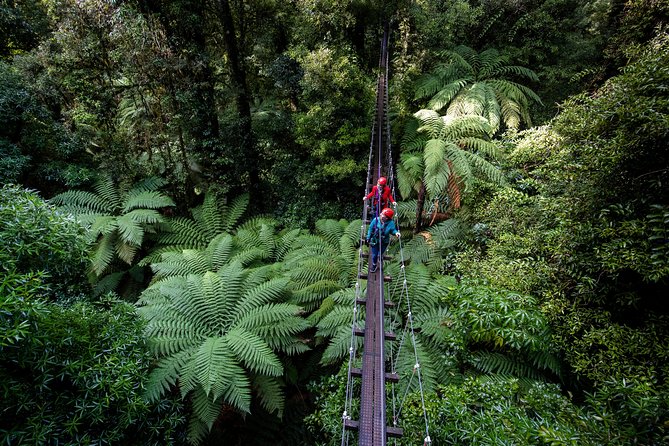 The Ultimate Canopy Zipline Experience Private Tour From Auckland - Coffee, the Bombay Hills, and Tirau
