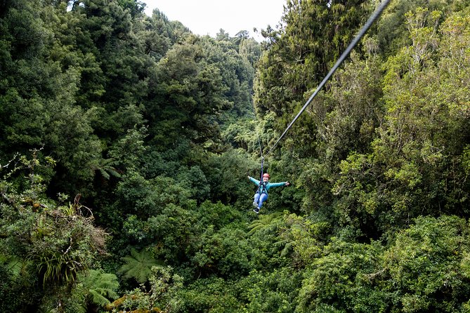 The Ultimate Canopy Zipline Experience Private Tour From Auckland - Three hours in Rotorua’s native forest