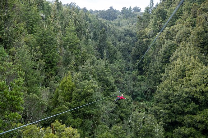 The Ultimate Canopy Zipline Experience Private Tour From Auckland - The 6:30 am Auckland start