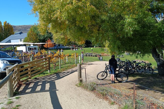 The Ultimate Lake Dunstan Bike Hire And Boat Experience - Starting in Cromwell with the right equipment