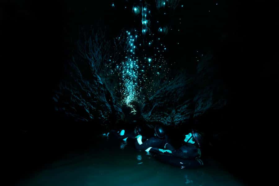 The Waitomo Experience : Okohua Glowworm Cave Tour - Key points at a glance