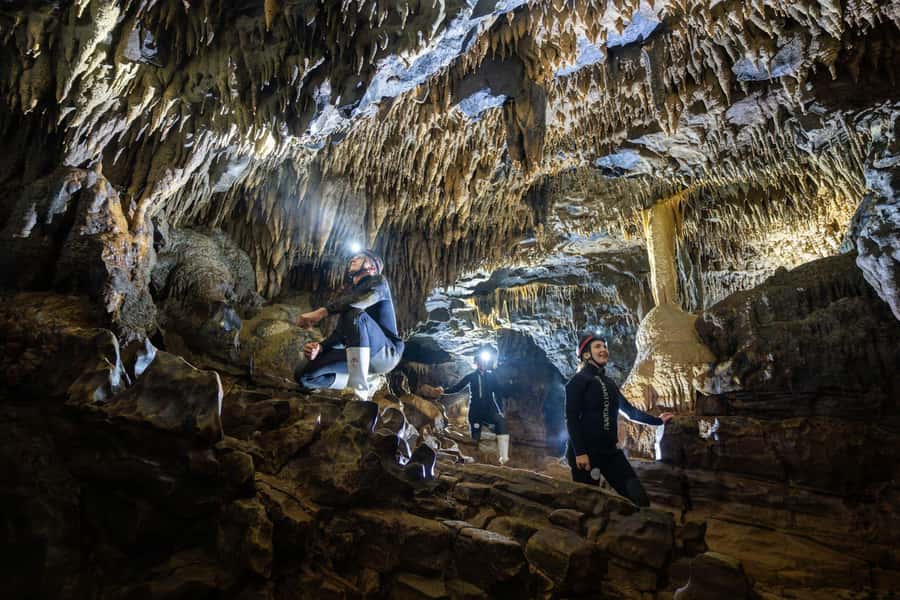 The Waitomo Experience : Okohua Glowworm Cave Tour - Why Okohua feels different from the main Waitomo cave tours