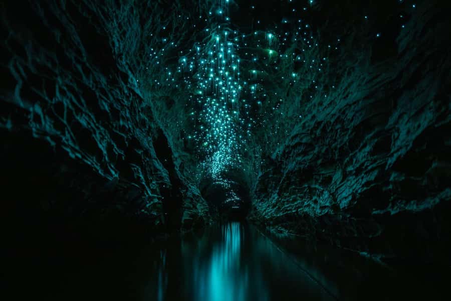 The Waitomo Experience : Okohua Glowworm Cave Tour - The glowworms beneath Okohua