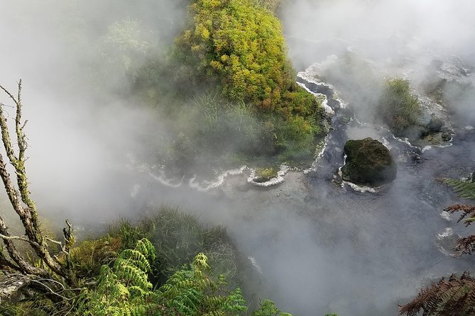 Thermal Path Tour - Te Manaroa Springs shows the power of hot water