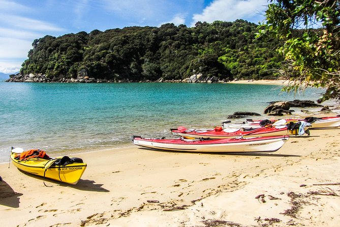 Three Day Classic Kayaking in New Zealand - Key points to know before you book