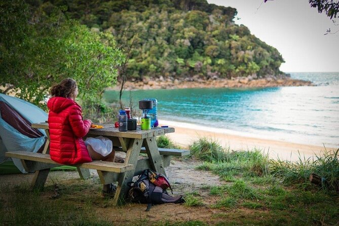 Three Day Classic Kayaking in New Zealand - Price, transport, and the practical trade-offs