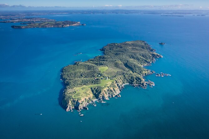 Tiritiri Matangi Island Discovery - from Auckland - Why Tiritiri Matangi feels different from Auckland