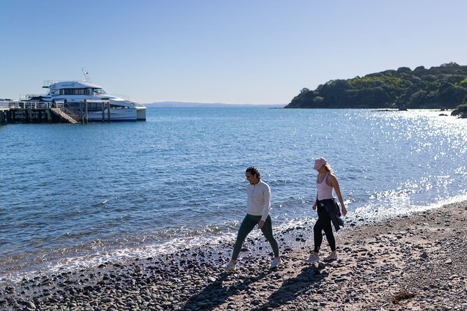 Tiritiri Matangi Island Discovery - from Auckland - Wildlife encounters worth slowing down for