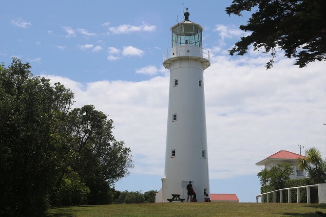 Tiritiri Matangi Island Discovery - from Auckland - What the $68.26 price includes