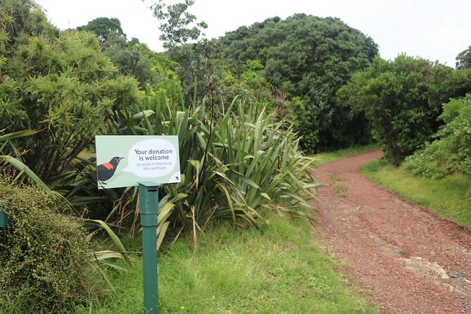 Tiritiri Matangi Island Discovery - from Auckland - Who will enjoy this day most