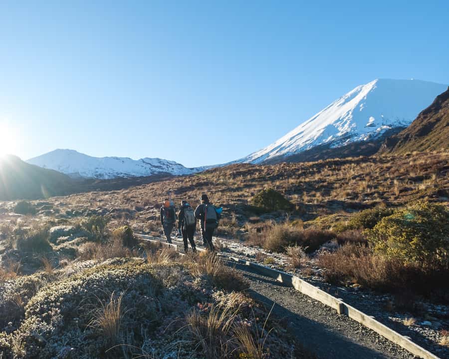Tongariro Alpine Crossing: Premium Guided Hike - From 53 Carroll Street to the trailhead
