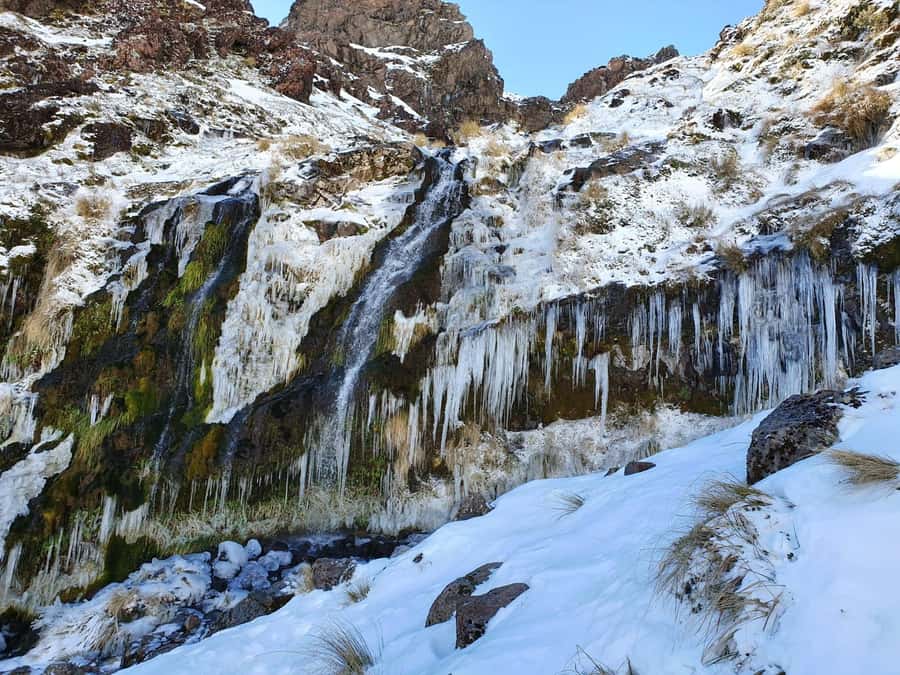 Tongariro Alpine Half Day Guided Group Walk - Key points to know before you book