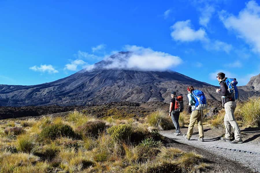 Tongariro Alpine Half Day Guided Group Walk - The 25-minute ride into Tongariro National Park
