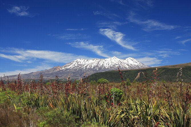 Tongariro Discovery Walk - Lunch, transport, and the $309.67 price