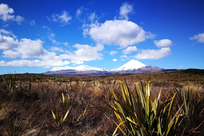 Tongariro Discovery Walk - Mount Ruapehu and the volcanic setting