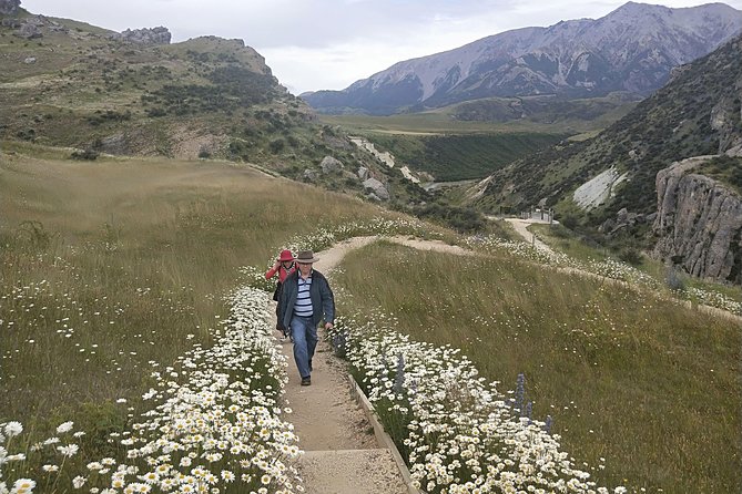 Tranz Alpine Train Tour - Who will enjoy this Arthur’s Pass day most?