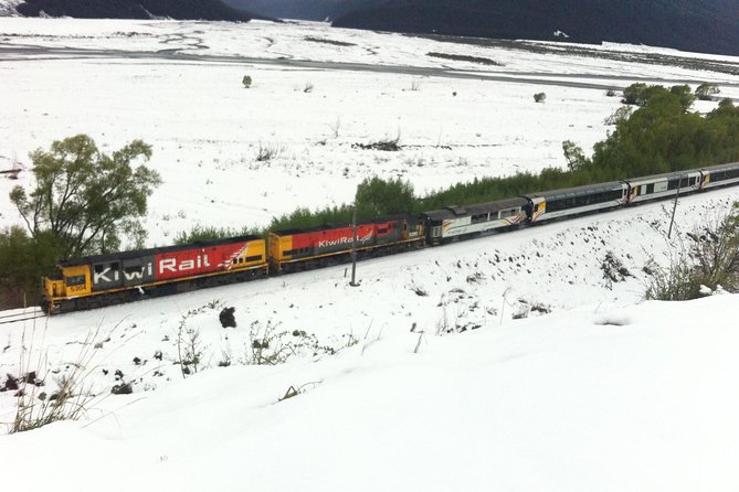 Tranz Alpine Train Tour - A homemade picnic keeps the middle of the day simple