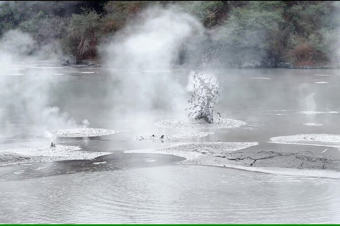 TRIPLE DEAL Wai-O-Tapu, Redwood Forest & Blue Springs Ex Auckland - Rotorua’s Redwoods offer a cooler change of pace