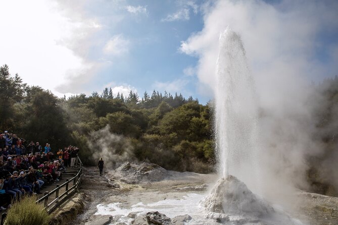 TRIPLE DEAL Wai-O-Tapu, Redwood Forest & Blue Springs Ex Auckland - Tirau’s metal Dog and Sheep buildings