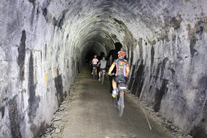 Tunnel to Town - Via Mapua - Key details at a glance