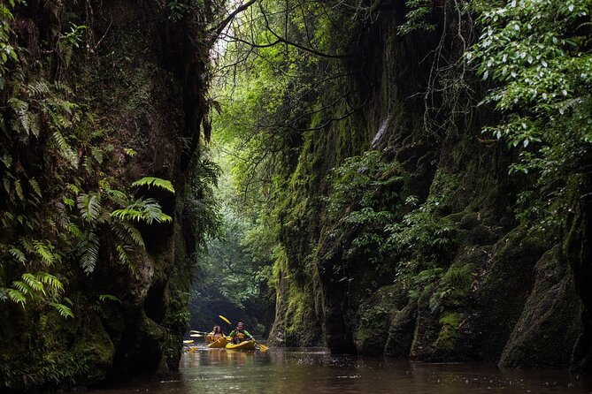 Twilight Glowworm Kayak Tour – Lake Karapiro - Returning through the gorge after dark