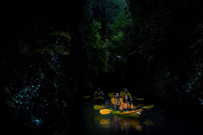 Twilight Glowworm Kayak Tour – Lake Karapiro - How hard is the kayaking?