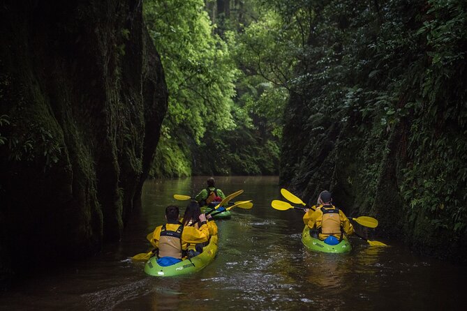 Twilight Glowworm Kayak Tour – Lake Karapiro - Who will get the most from this tour?