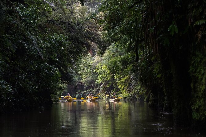 Twilight Glowworm Kayak Tour – Lake Karapiro - Timing, weather, and cancellation