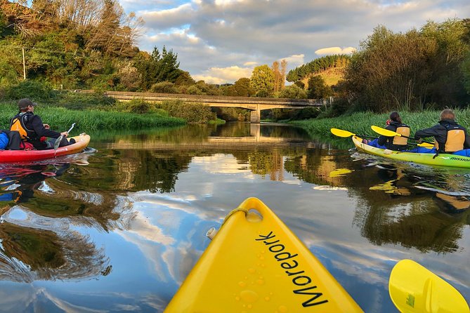 Twilight Glowworm Kayak Tour – Lake Karapiro - The daylight section: birds, plants, and carved rock