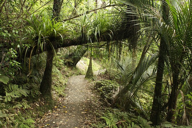 Ultimate Auckland Experience Full Day Tour with Brewery Lunch - Starting at Te Toka o Apihai Te Kawau