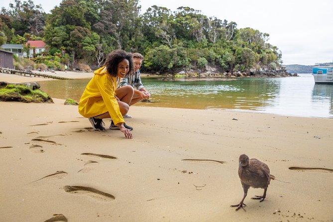 Ulva Island Explorer from Stewart Island - Key things to know before you book