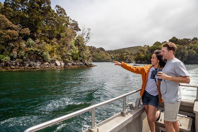 Ulva Island Explorer from Stewart Island - Why Ulva Island makes this short tour special