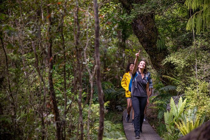 Ulva Island Explorer from Stewart Island - How the 2-hour-30-minute schedule feels