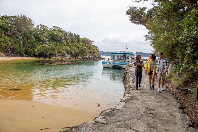 Ulva Island Explorer from Stewart Island - Price, lunch, and overall value