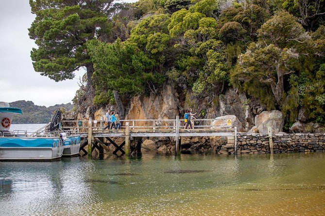 Ulva Island Explorer from Stewart Island - Exploring Ulva Island with a local guide