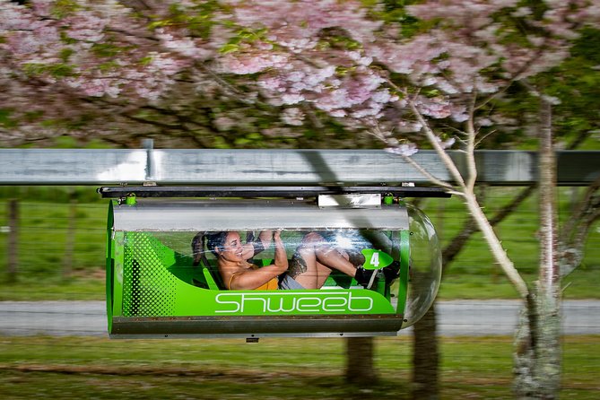 Velocity Valley Rotorua - Vertigo replaces the old bungy option