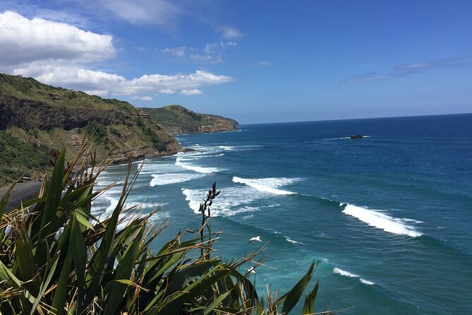 Vineyards Honey and Black Sand Beaches from Auckland - Why this makes a good Auckland day trip