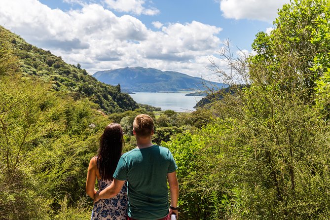 Volcanic Valley Self Guided Walking and Hiking at Waimangu - Forest, wetlands, and the life around the heat