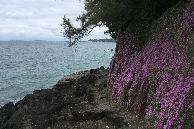 Volcanoes, Coasts, and Secret Spots Afternoon Tour in Auckland - Cyril Bassett VC Lookout and the final skyline