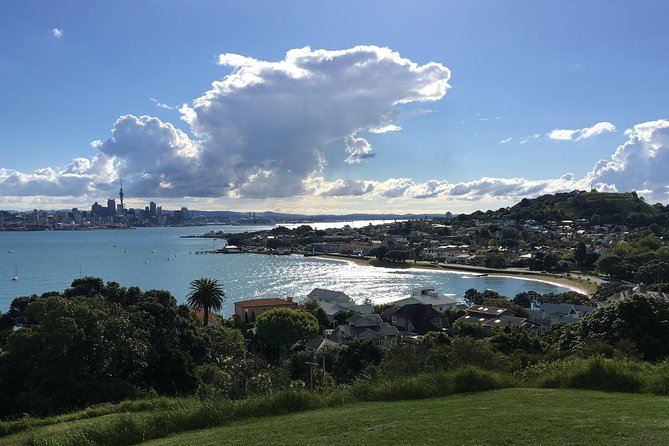 Volcanoes, Coasts, and Secret Spots Afternoon Tour in Auckland - Who should book, and who should skip it