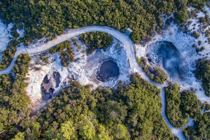Wai-O-Tapu Thermal Wonderland, Rotorua, New Zealand - Native bush adds contrast to the volcanic ground