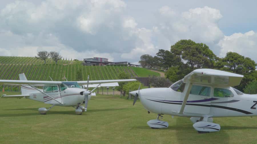 Waiheke Island: 30-Minute Scenic Flight - Beaches, coves, and vineyards below you