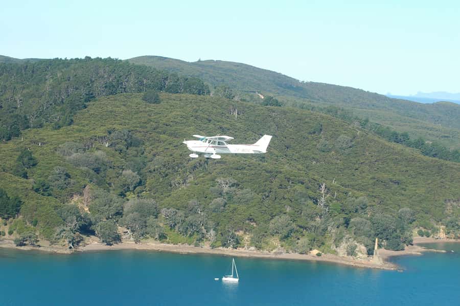 Waiheke Island: 30-Minute Scenic Flight - Planning the day around Waiheke Wings
