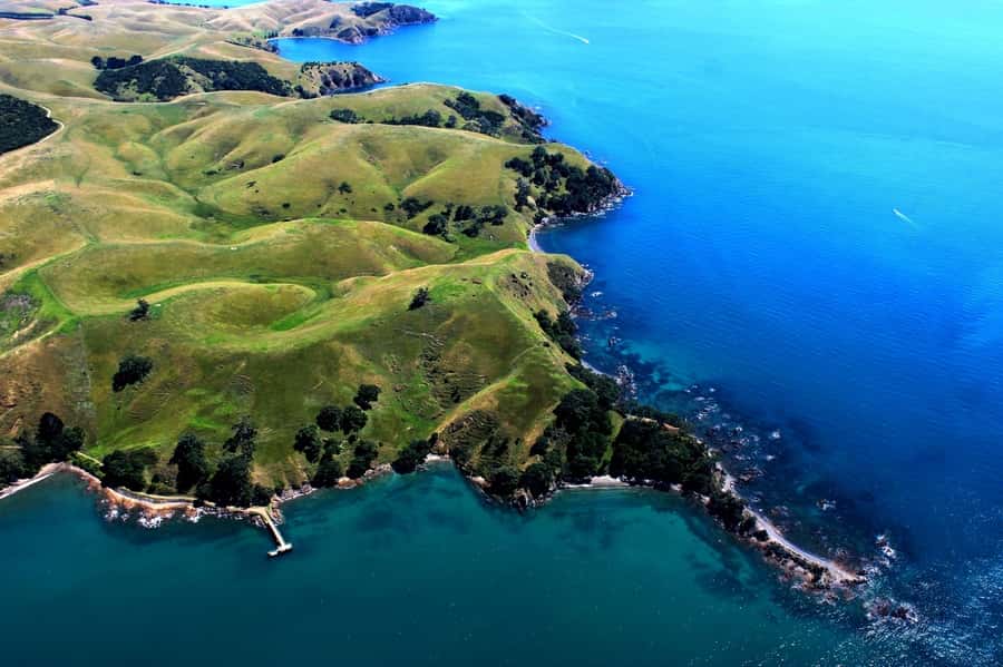 Waiheke Island: 30-Minute Scenic Flight - From Waiheke Aerodrome to the island’s coast
