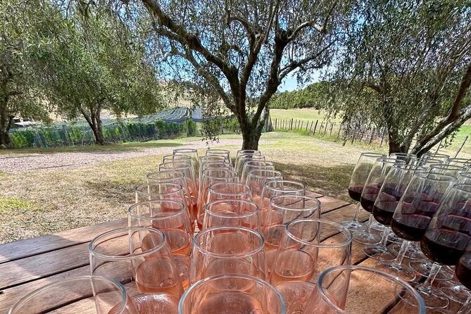 Waiheke Island: Afternoon Wine Affair with Ocean Front Lunch - Who will enjoy this Waiheke outing most