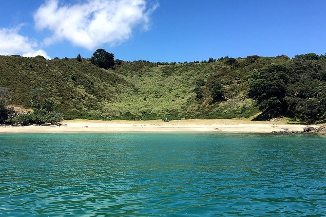 Waiheke Island Bush & Beach Walk - Key points at a glance