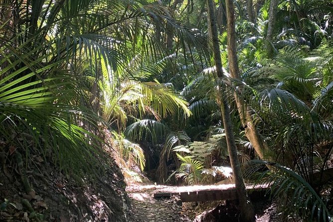 Waiheke Island Bush & Beach Walk - Lunch and the five-hour pace