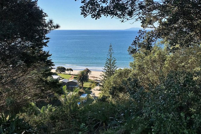 Waiheke Island Bush & Beach Walk - The price and what it buys you