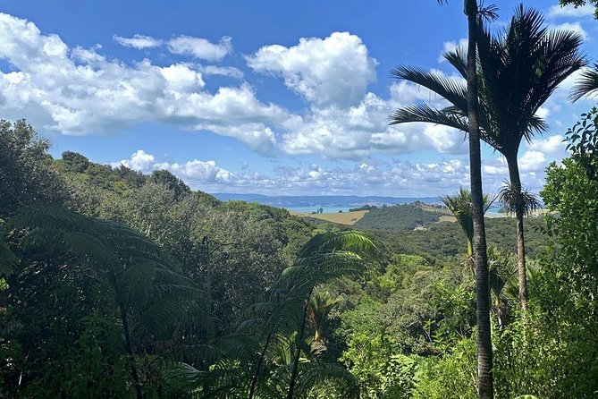 Waiheke Island Bush & Beach Walk - Who will enjoy this most